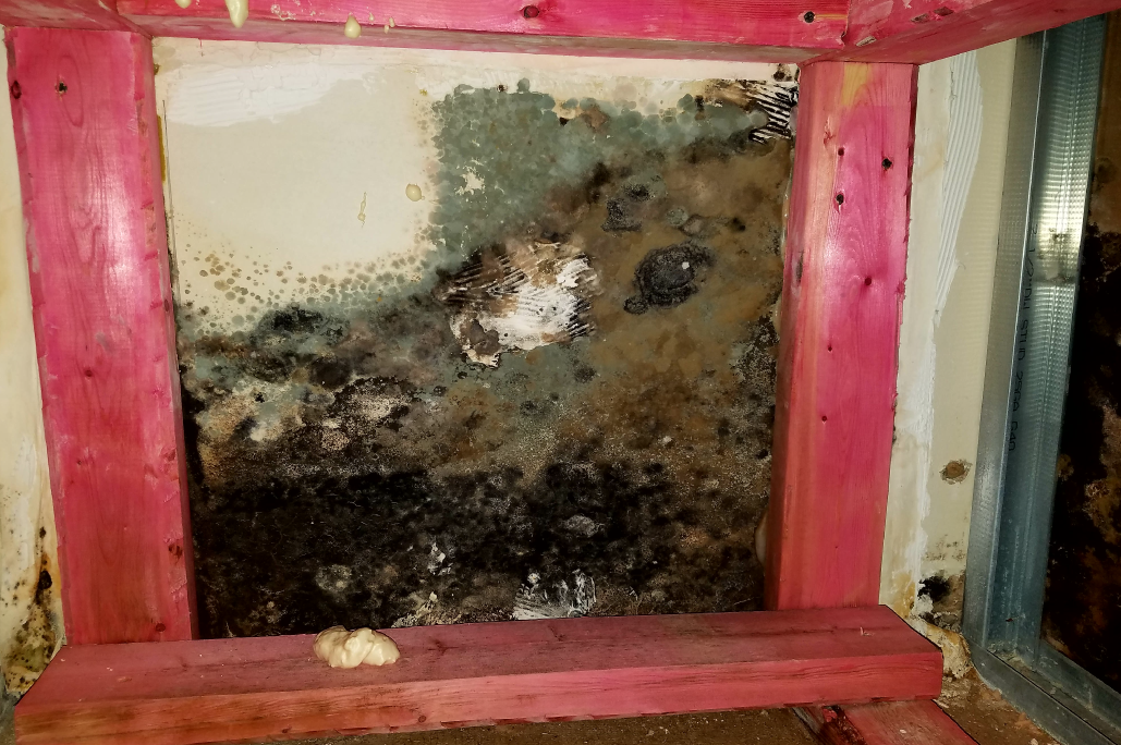 mold-abatement-resize